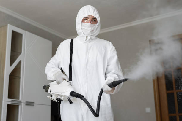 Trusted Lake Elsinore, CA Mold Inspection Experts